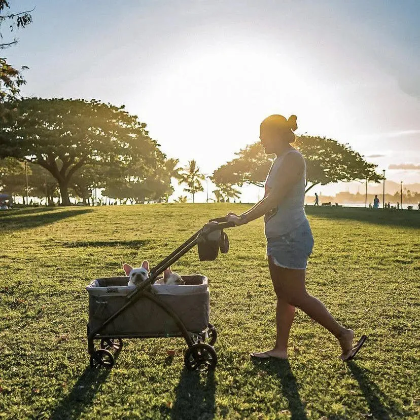 Tour™ LTE 2-in-1 Stroller Wagon - Desert Grey  (Walmart Exclusive)