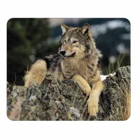 Wolf on Rocks Mouse Pad